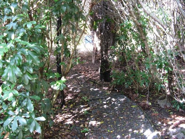 Very top path. May 2014. Cambridge Tree Trust